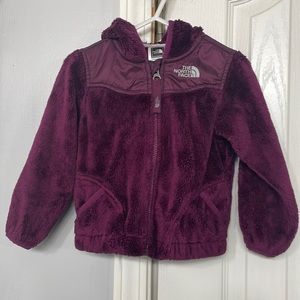 Toddler NorthFace Fleece Jacket w/ Hood